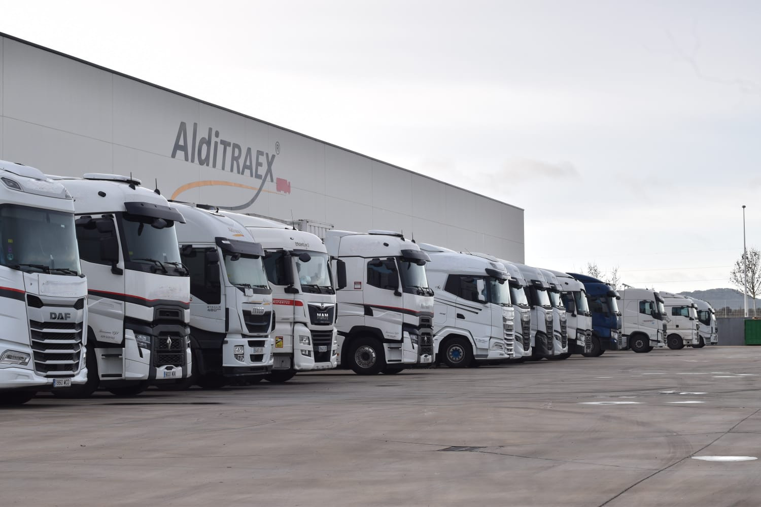 Flota de vehículos de transporte